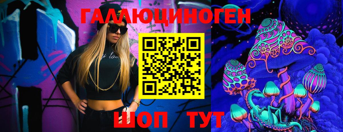 Псилоцибиновые грибы Psilocybe Элиста