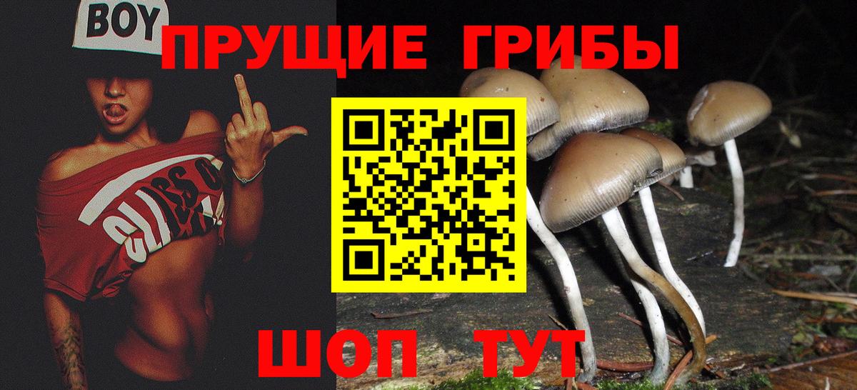 Галлюциногенные грибы MAGIC MUSHROOMS  Псилоцибиновые грибы Psilocybine cubensis  Элиста  Вход с VPN 